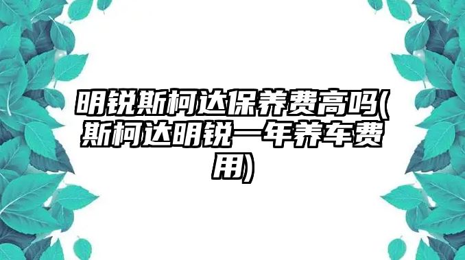 明銳斯柯達(dá)保養(yǎng)費(fèi)高嗎(斯柯達(dá)明銳一年養(yǎng)車(chē)費(fèi)用)