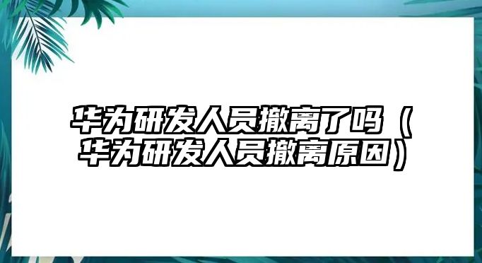 華為研發人員撤離了嗎（華為研發人員撤離原因）