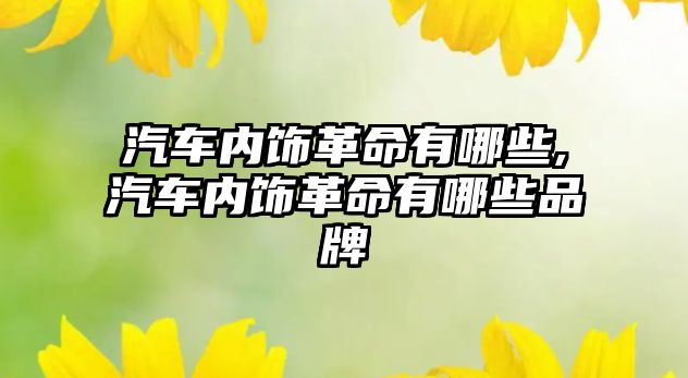 汽車內(nèi)飾革命有哪些,汽車內(nèi)飾革命有哪些品牌