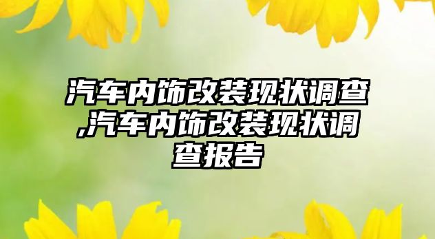 汽車內飾改裝現狀調查,汽車內飾改裝現狀調查報告