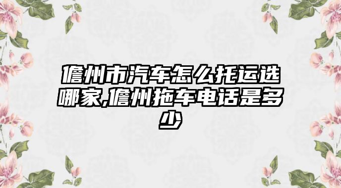 儋州市汽車怎么托運選哪家,儋州拖車電話是多少