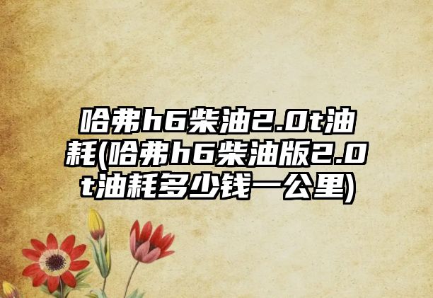 哈弗h6柴油2.0t油耗(哈弗h6柴油版2.0t油耗多少錢一公里)