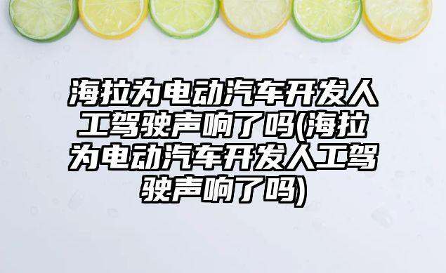 海拉為電動汽車開發人工駕駛聲響了嗎(海拉為電動汽車開發人工駕駛聲響了嗎)