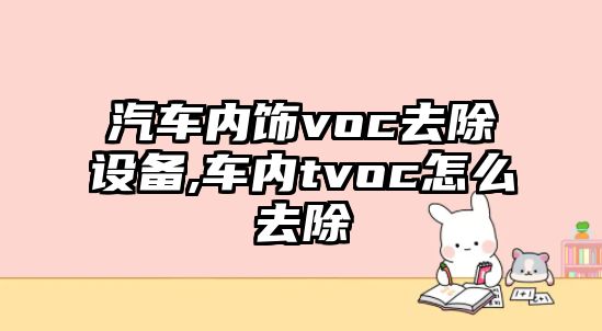 汽車內飾voc去除設備,車內tvoc怎么去除