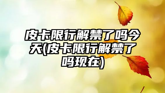 皮卡限行解禁了嗎今天(皮卡限行解禁了嗎現在)