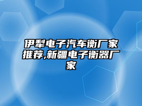 伊犁電子汽車衡廠家推薦,新疆電子衡器廠家