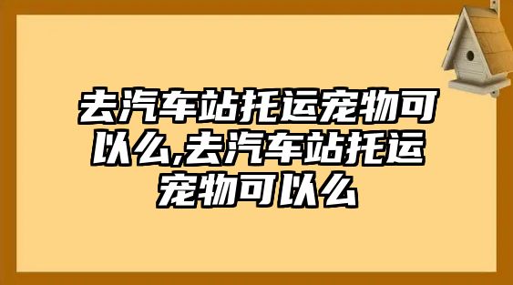 去汽車站托運寵物可以么,去汽車站托運寵物可以么