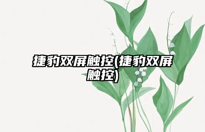 捷豹雙屏觸控(捷豹雙屏觸控)