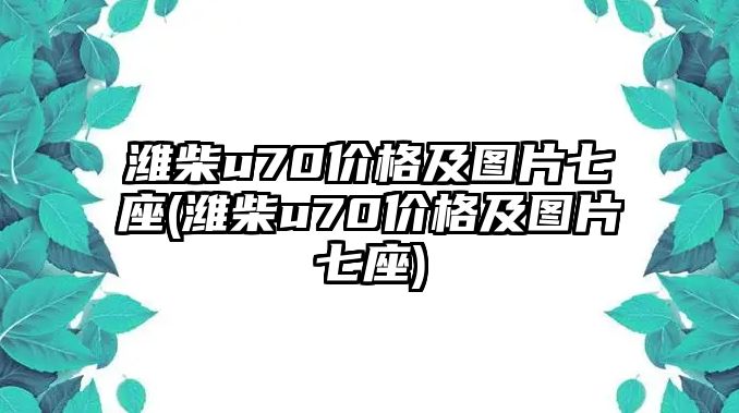 濰柴u70價格及圖片七座(濰柴u70價格及圖片七座)