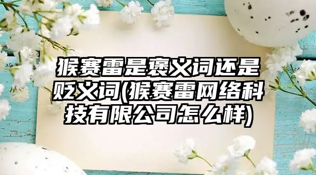 猴賽雷是褒義詞還是貶義詞(猴賽雷網絡科技有限公司怎么樣)