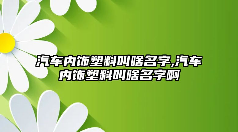 汽車內飾塑料叫啥名字,汽車內飾塑料叫啥名字啊