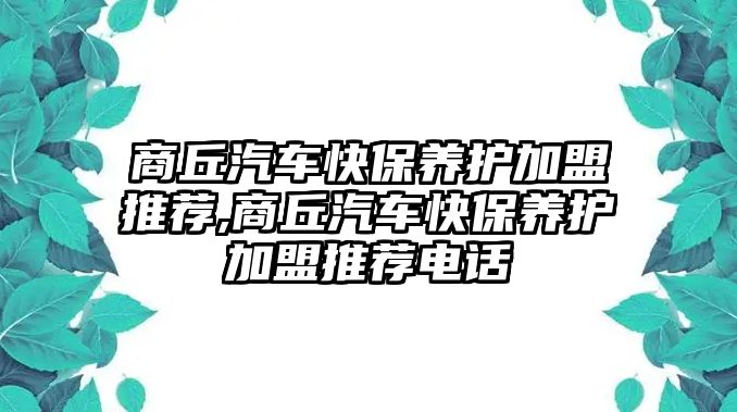 商丘汽車快保養護加盟推薦,商丘汽車快保養護加盟推薦電話