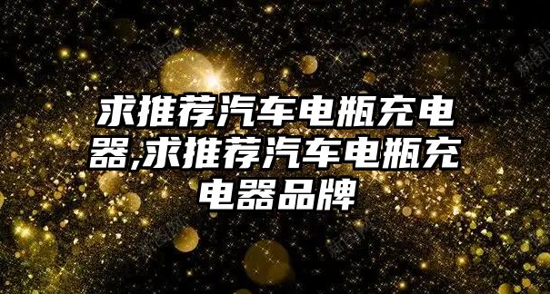 求推薦汽車電瓶充電器,求推薦汽車電瓶充電器品牌