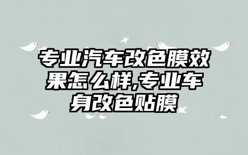 專業汽車改色膜效果怎么樣,專業車身改色貼膜