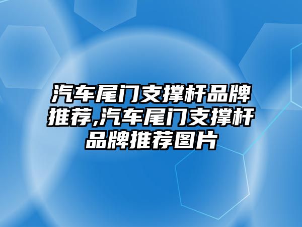 汽車尾門支撐桿品牌推薦,汽車尾門支撐桿品牌推薦圖片