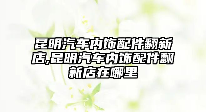 昆明汽車內飾配件翻新店,昆明汽車內飾配件翻新店在哪里