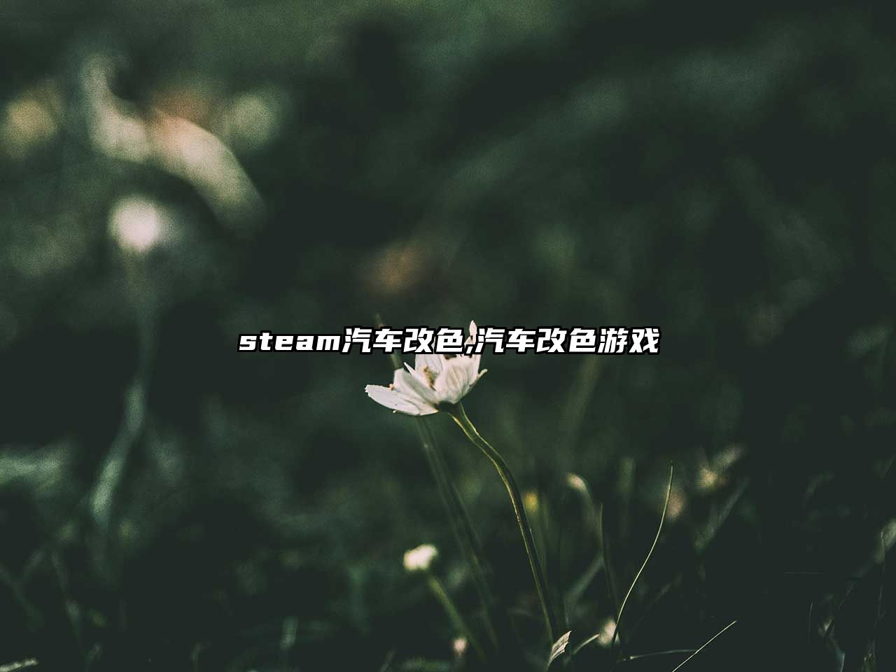 steam汽車改色,汽車改色游戲