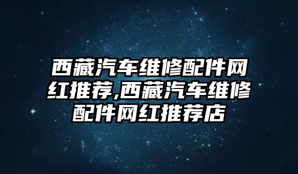 西藏汽車維修配件網紅推薦,西藏汽車維修配件網紅推薦店