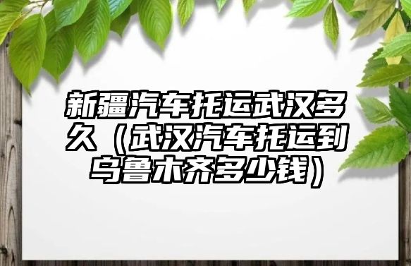 新疆汽車托運武漢多久（武漢汽車托運到烏魯木齊多少錢）