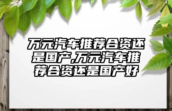 萬元汽車推薦合資還是國產,萬元汽車推薦合資還是國產好