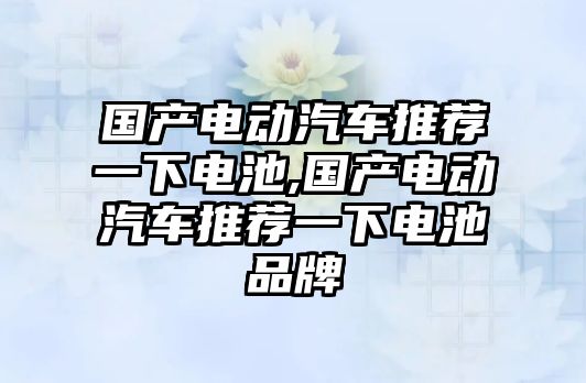 國產(chǎn)電動(dòng)汽車推薦一下電池,國產(chǎn)電動(dòng)汽車推薦一下電池品牌