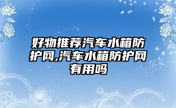 好物推薦汽車水箱防護網,汽車水箱防護網有用嗎