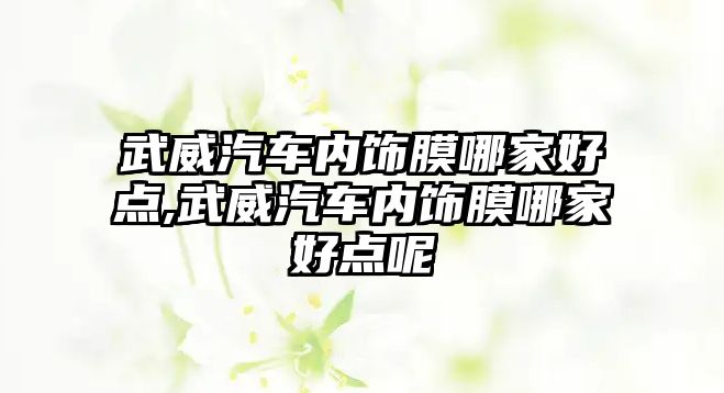 武威汽車內(nèi)飾膜哪家好點,武威汽車內(nèi)飾膜哪家好點呢