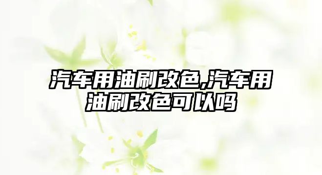 汽車用油刷改色,汽車用油刷改色可以嗎