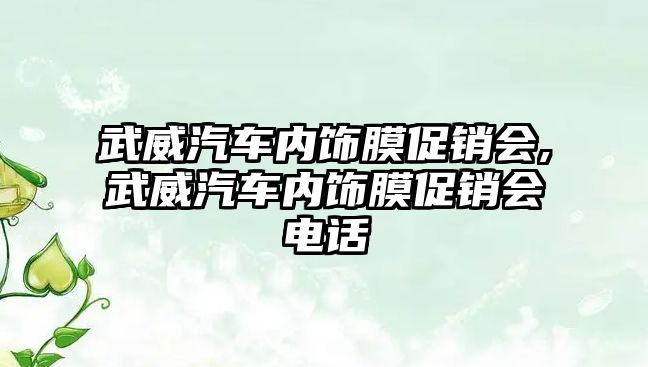 武威汽車內(nèi)飾膜促銷會(huì),武威汽車內(nèi)飾膜促銷會(huì)電話