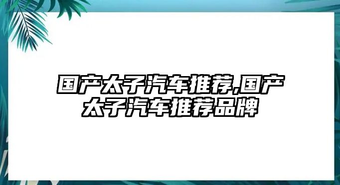 國產(chǎn)太子汽車推薦,國產(chǎn)太子汽車推薦品牌