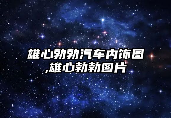 雄心勃勃汽車內飾圖,雄心勃勃圖片