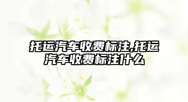 托運汽車收費標注,托運汽車收費標注什么