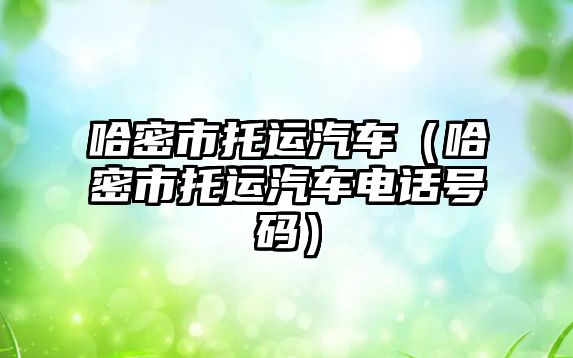 哈密市托運汽車（哈密市托運汽車電話號碼）