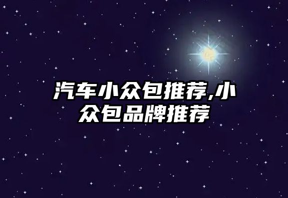 汽車(chē)小眾包推薦,小眾包品牌推薦