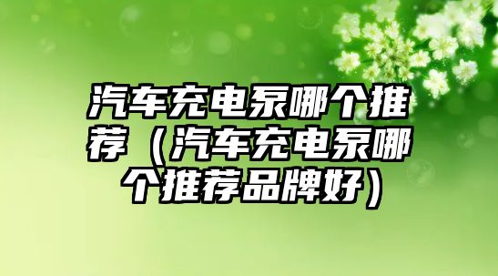 汽車充電泵哪個(gè)推薦（汽車充電泵哪個(gè)推薦品牌好）